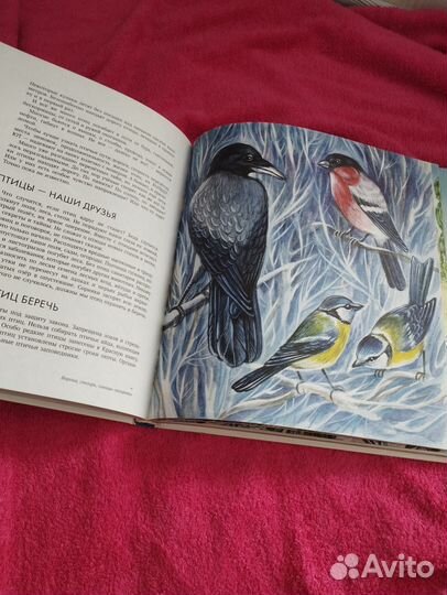 Детская энциклопедия животного мира