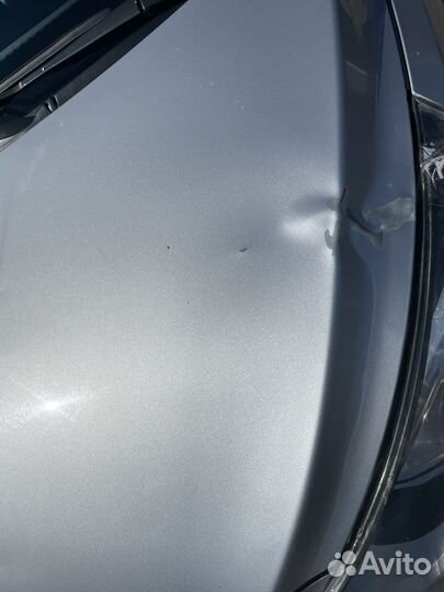 Капот солярис