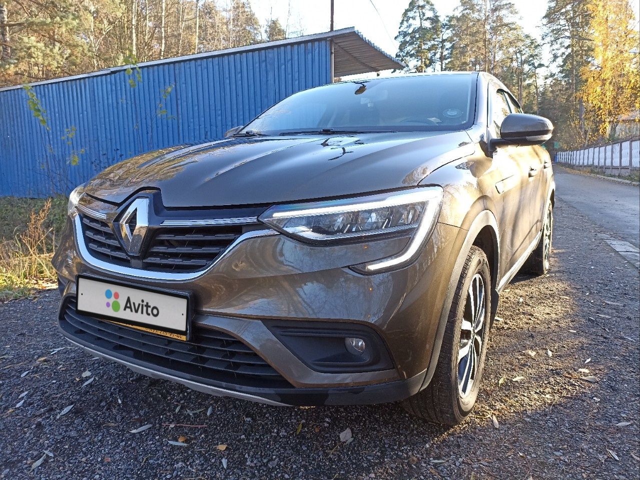 Renault Arkana: фото владельца