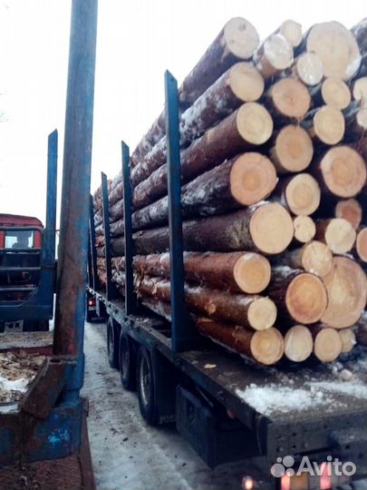 Лес кругляк