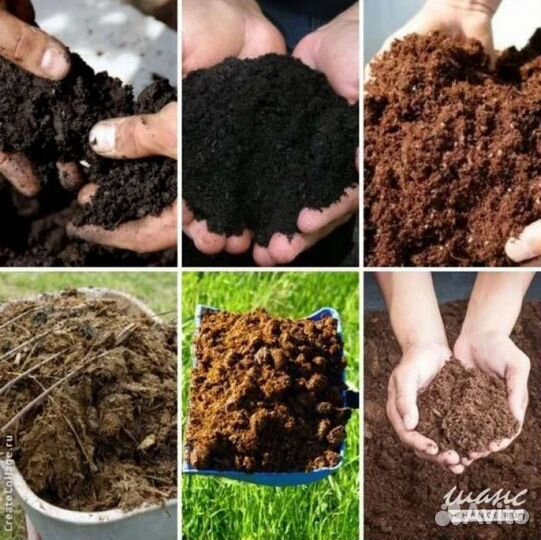 Перегной и навоз