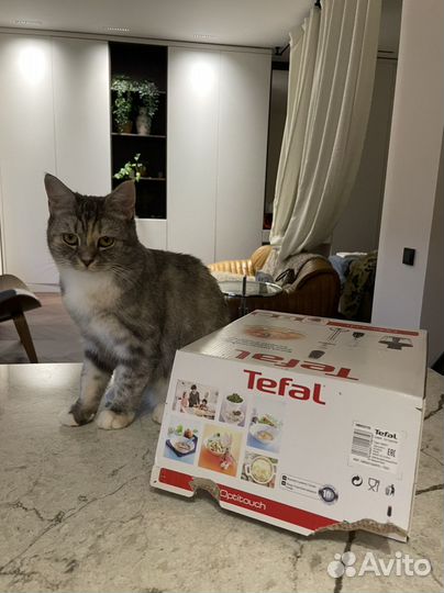 Блендер Tefal Optitouch 600Вт