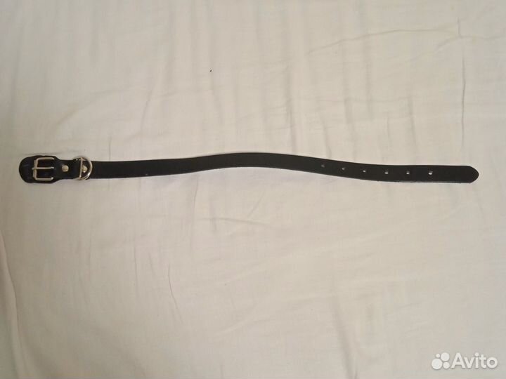 Ошейник для собаки