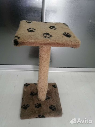 Когтеточка