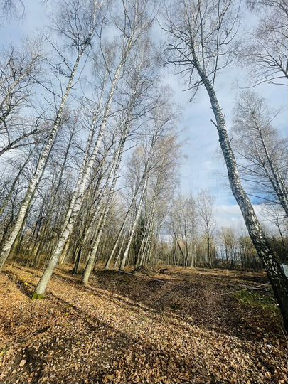 Участок 8 сот. (ИЖС)