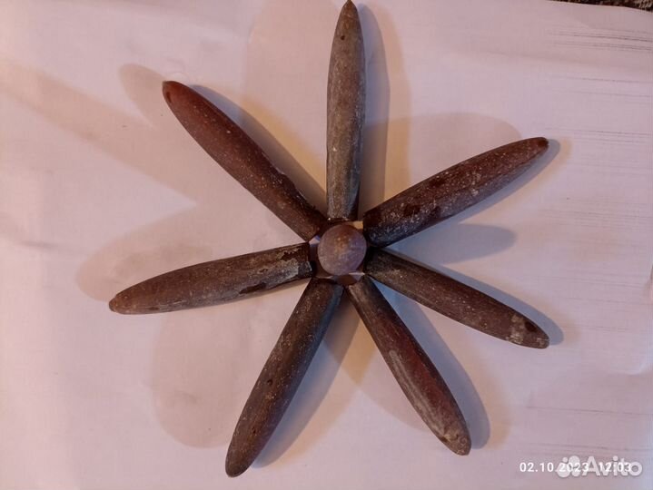 Белемниты отборные (чертовы пальцы )