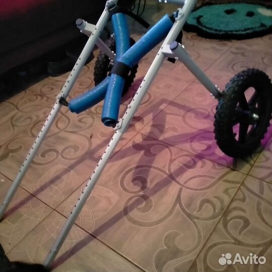 Ходунки для собак