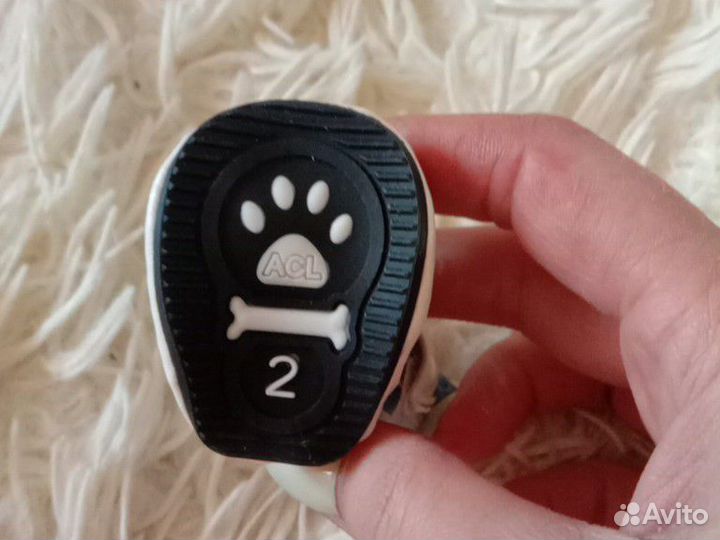 Ботиночки для собаки и сумка