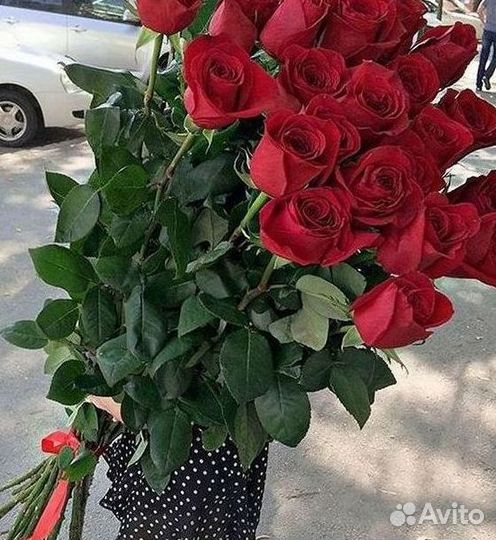 Высокие Розы Гиганты Доставка Круглосуточно