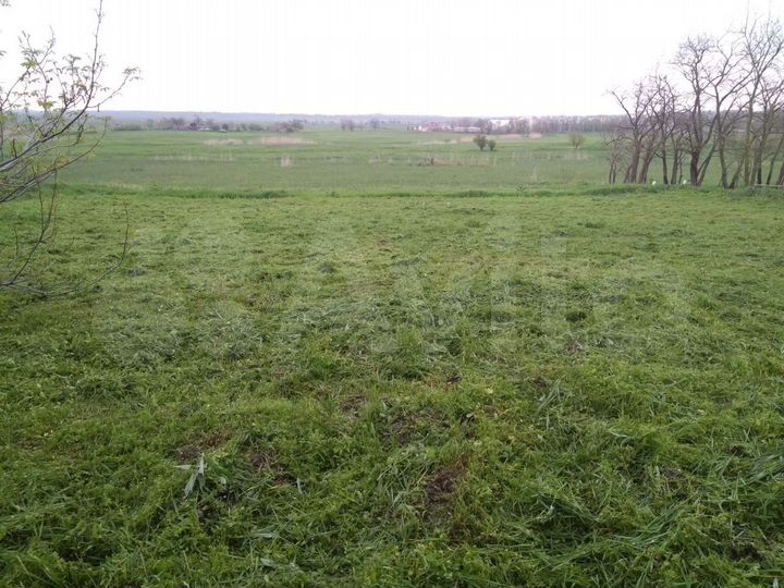 Участок 31 сот. (ИЖС)