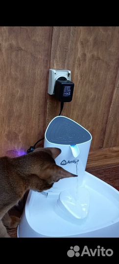 Автопоилка