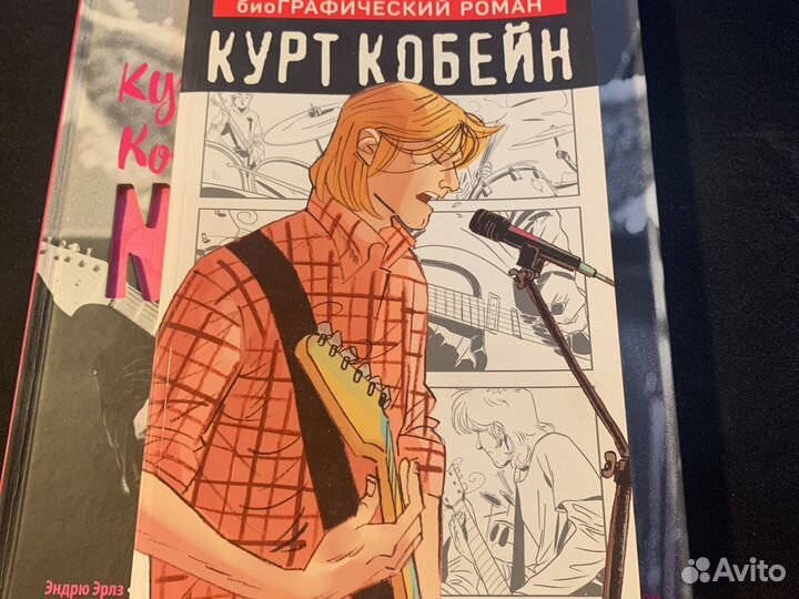 Книга Nirvana иллюстрированная история группы