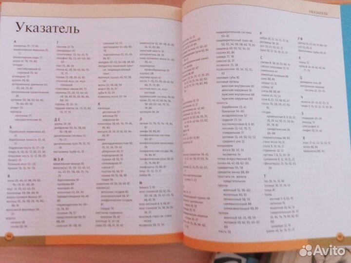 Энциклопедия