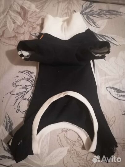 Одежда для средних собак