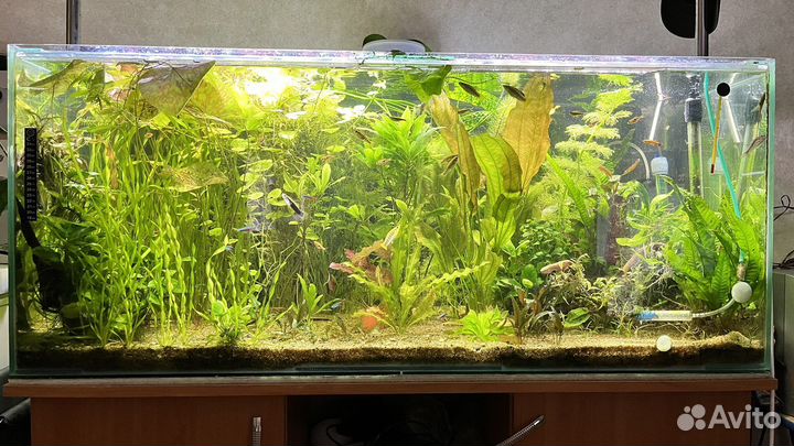 Аквариум 300 литров