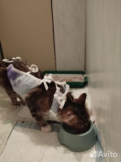 Малышке нужен дом