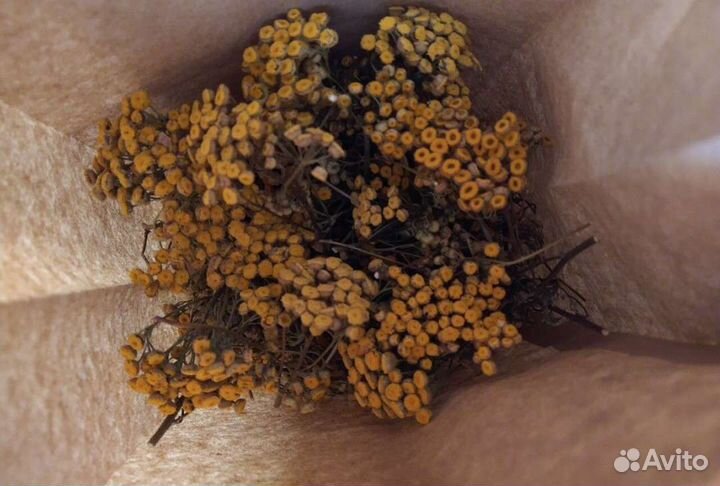 Травы для окуривания, магии, бани