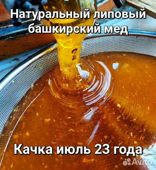 Мед липовый башкирский с личной пасеки 2023 года