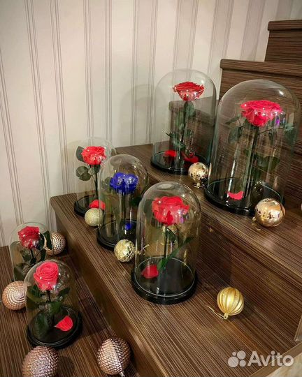 Роза в колбе 30см