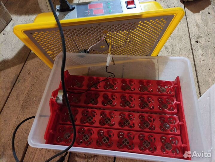 Инкубатор для яиц автоматический WQ-24