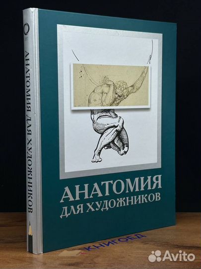 Анатомия для художников