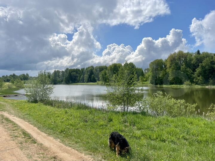 Участок 10 га (ИЖС)