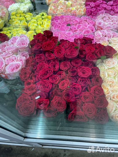 101 Роза букеты Цветы