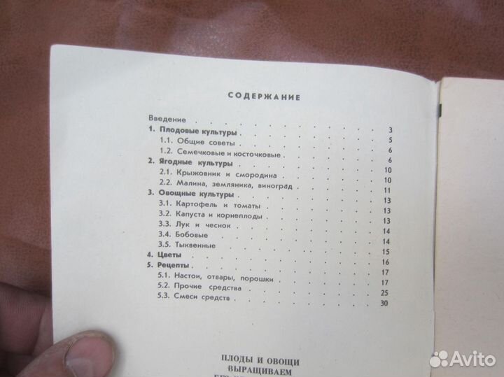 Ю. Семёнов. Семнадцать мгновений весны. 1975 год