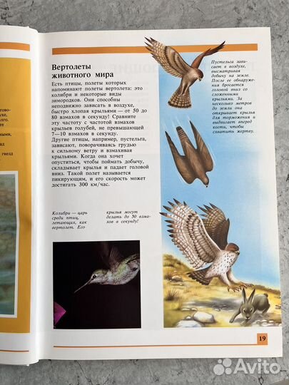 Книга Секреты животного мира