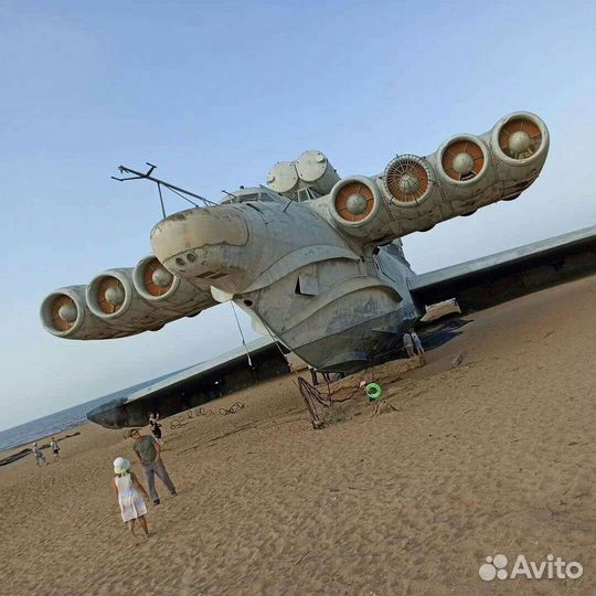 Гид экскурсовод