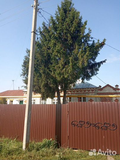 Спиливание(Спил) деревьев.Расчистка участка