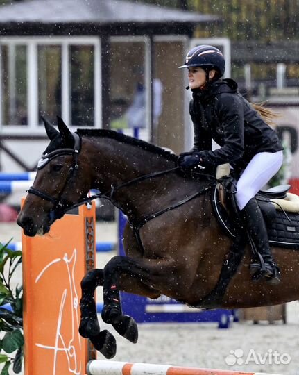 Лошадь в аренду с тренером