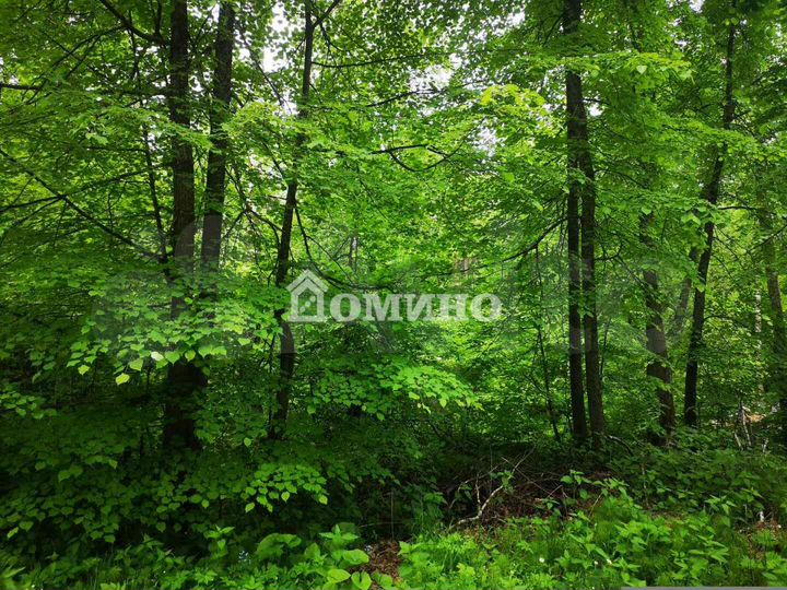 Участок 10 сот. (СНТ, ДНП)