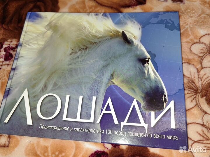 Книга про лошадей (энциклопедия)