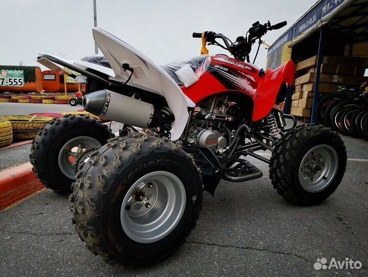 Квадроцикл motoland (мотоленд) 250S