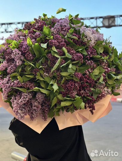 Сирень Цветы Букеты Пионы с доставкой 24/7