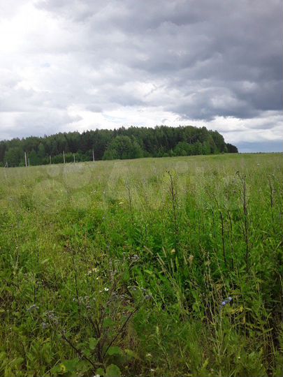 Участок 15 сот. (ИЖС)