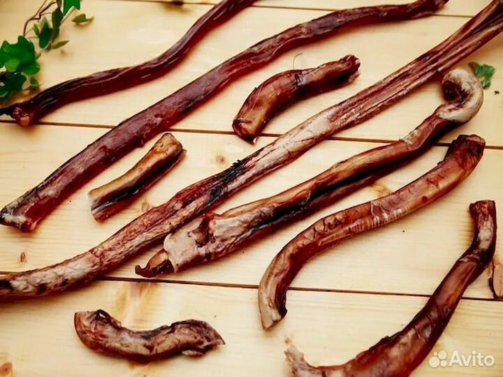 Корм для собаки. Одобрен врачами