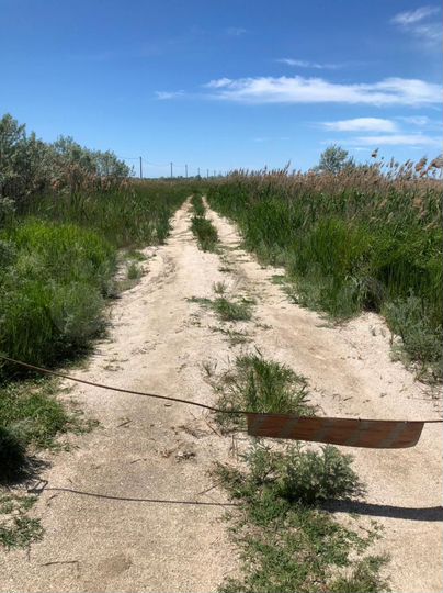 Участок 11,3 сот. (промназначения)