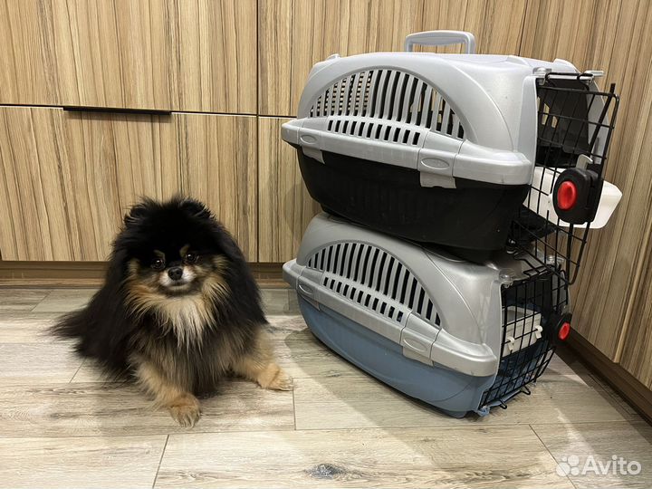 Переноска ferplast atlas delux 10