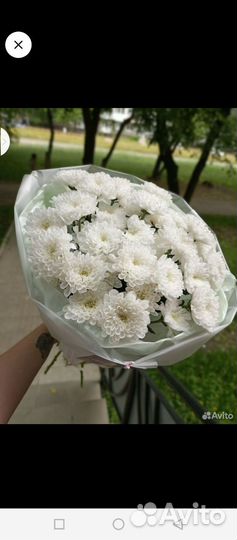 Живые цветы букеты