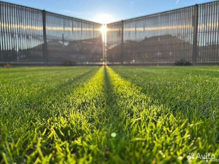 Системы автополива растений