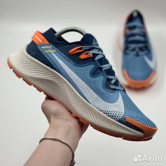 Nike pegasus trail 2