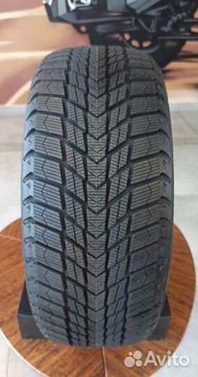 Nexen Winguard Ice Plus 175/70 R14