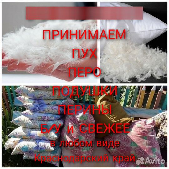 Прием пуха и пера