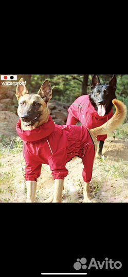 Дождевик от снега и дождя для собак
