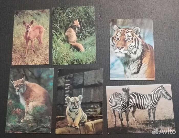 Советские открытки (чистые)