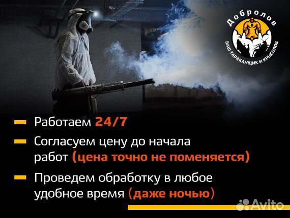 Уничтожение тараканов. Травить клопов