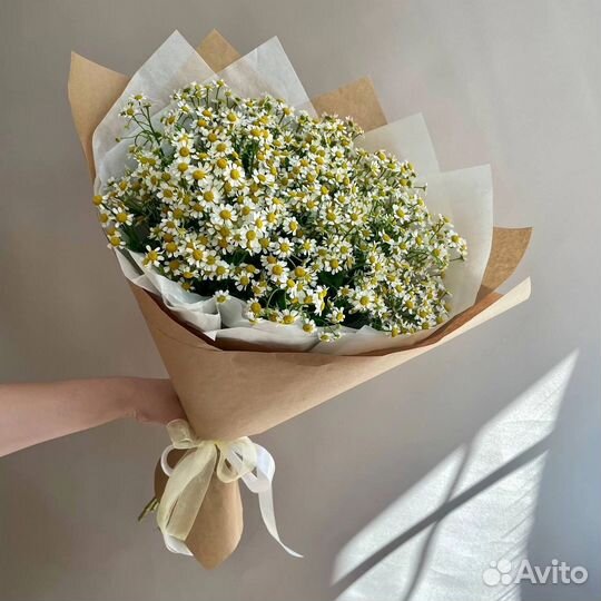 Ромашки букеты цветы