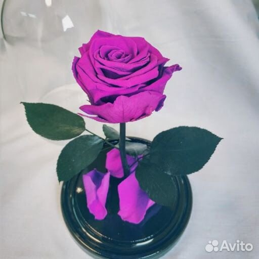 Роза в колбе